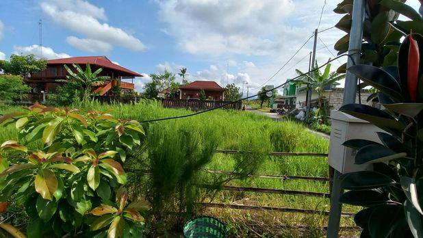Tanah Kavling Sleman Jl Damai Kost Eksekutiv 