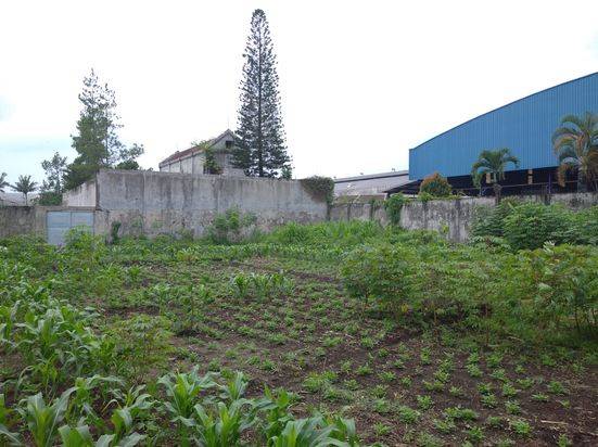 Dijual Cepat Tanah di SP Sudarmo, Malang