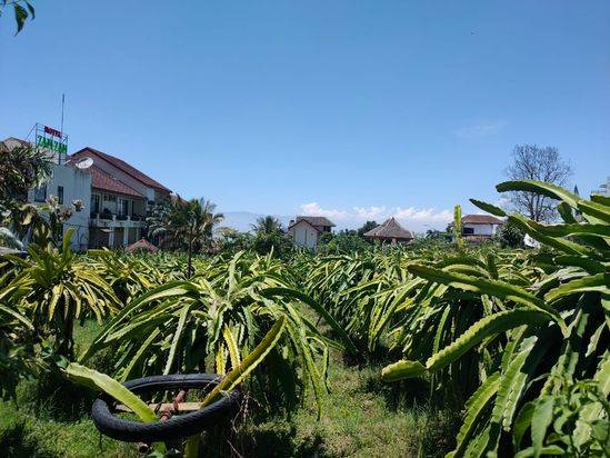 BU Tanah Super Luas Strategis Murah View Menawan Dekat Pusat Kota Batu 