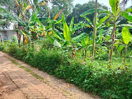 Dijual Tanah di Suradita Cisauk, Tangerang 