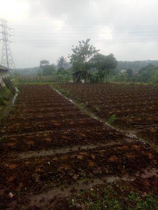 Dijual tanah luas 3793m2 di jl. Sindangsari parungkuda sukabumi