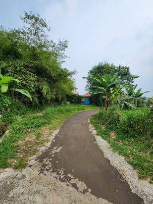 Tanah Murah Caringin Hanya 750 Rb-an; Dekat Tol Caringin