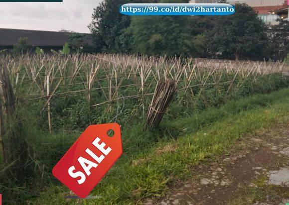 Tanah Kavling Matang Siap Bangun Cocok Dibuat Villa Lokasi Mainroad Lembang 1765