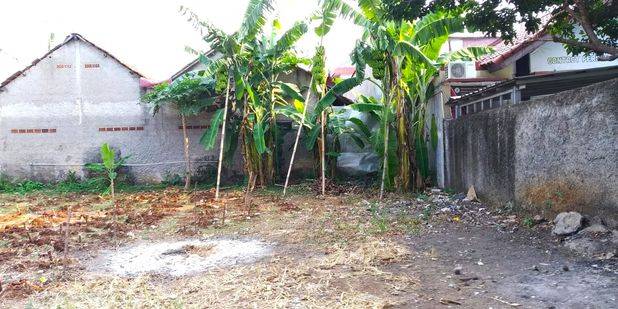 Tanah Shm Cibinong Murah Dekat Pemda Cibinong Bogor