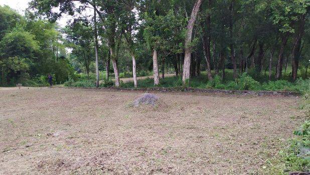 DI JUAL TANAH KAVLING MURAH JOGJA LOKASI SELATAN KAMPUS UII SIAP AJB