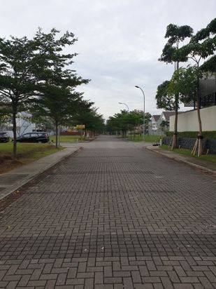 main picture