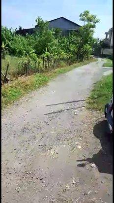 Tanah Di Jln Cargo Denpasar Bali.Gatsu Barat,Cokroaminoto,Ubung