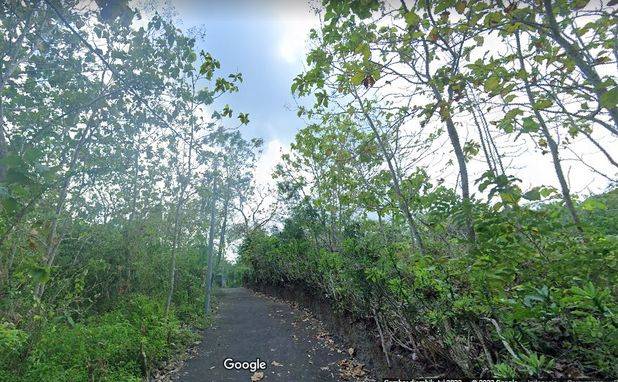 Tanah Di Jimbaran Pecatu Kuta Selatan Badung Bali. GWK,Pandawa,