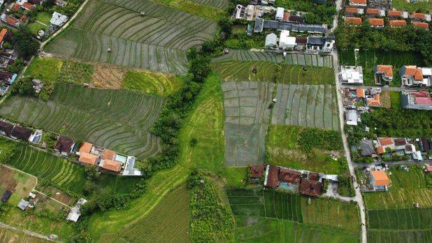 Tanah View Sawah Di Canggu Pantai Berawa Bali.