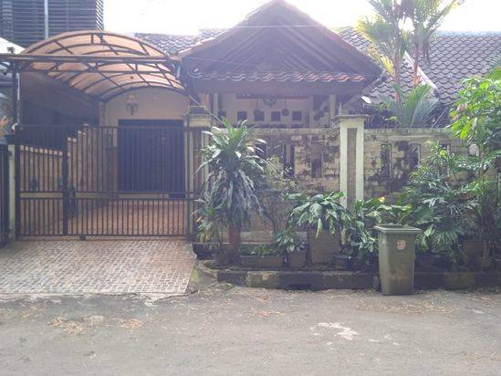 main picture
