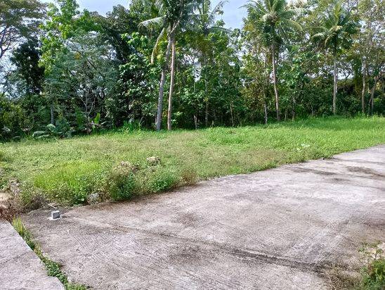Jual Cepat Tanah Kavling Sebidang Tanah pekarangan  Di Wates,Gunung Gempal