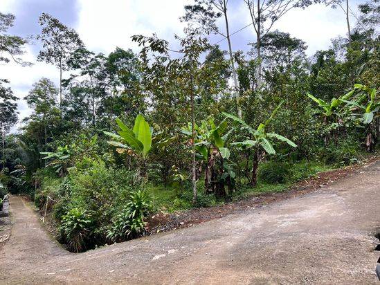 Tanah Idaman Untuk Vill dll Ngargoyoso, Karanganyar