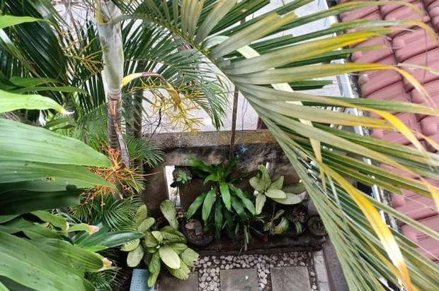 Rumah di dawas Dalung badung