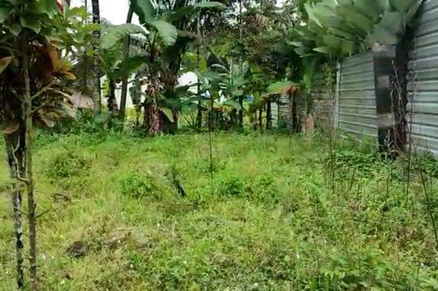 Tanah dijual di kedungkandang dekat SD internasional tlogowaru kota Malang