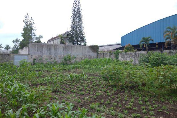 Dijual Cepat Tanah di SP Sudarmo, Malang