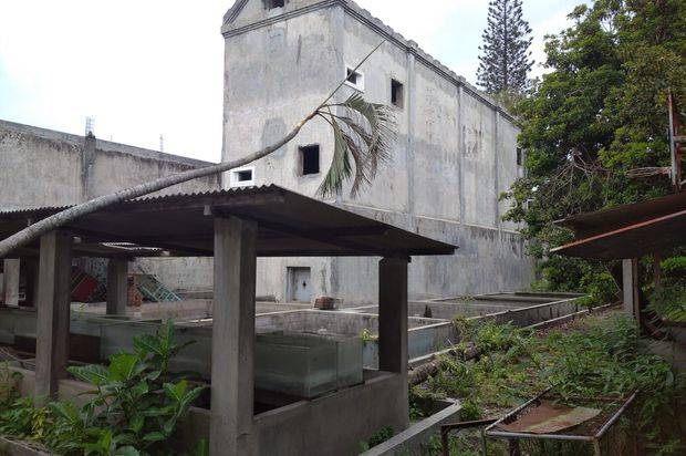 Dijual Cepat Tanah di SP Sudarmo, Malang