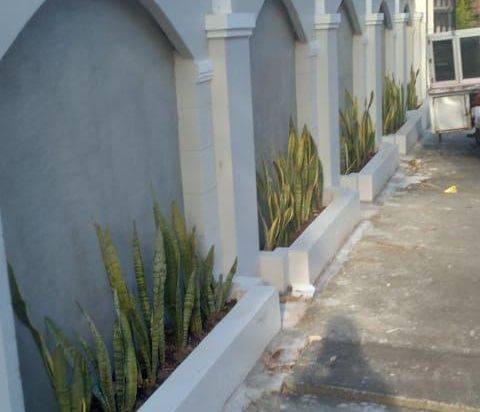 RUMAH SIMPLE CLASSIC SIAP HUNI DI BALI COCOK UNTUK KELUARGA ATAUPUN UNTUK INVESTASI