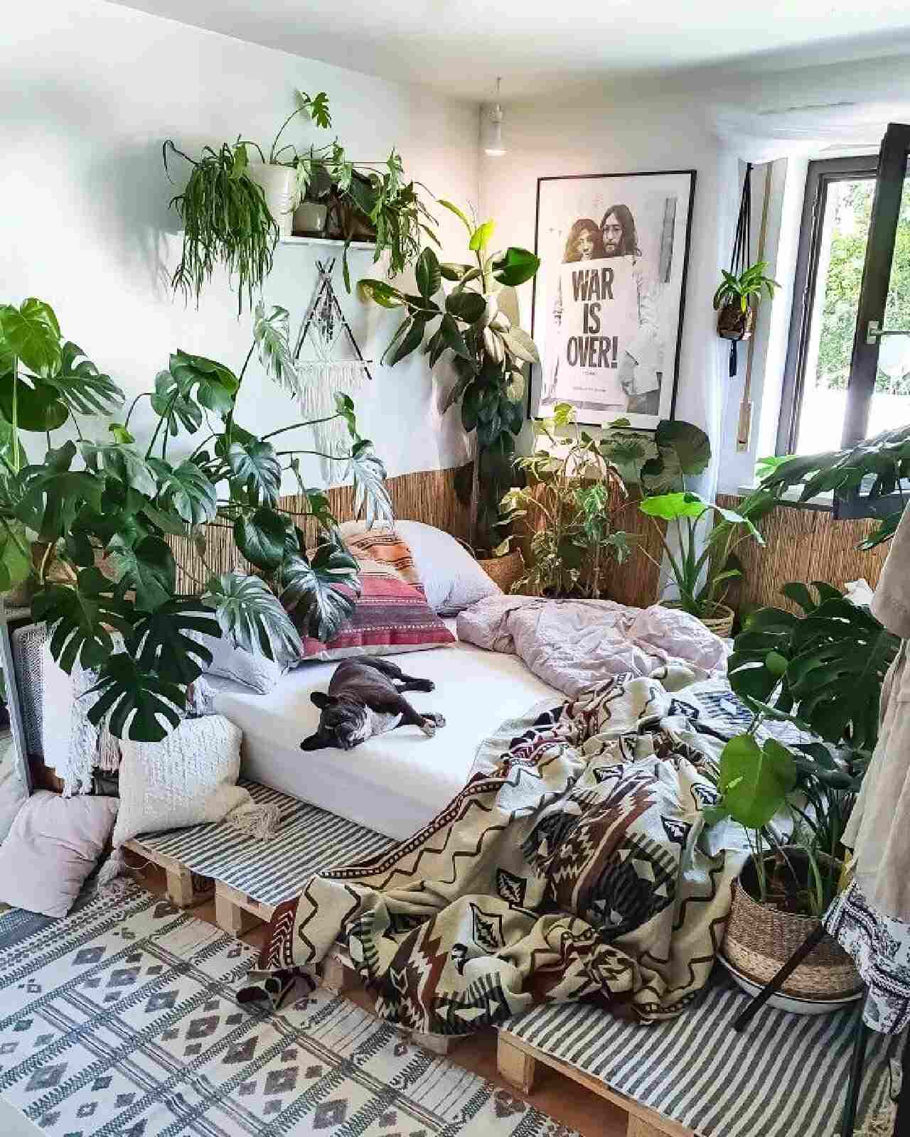 Desain Kamar Tidur dengan Banyak Monstera