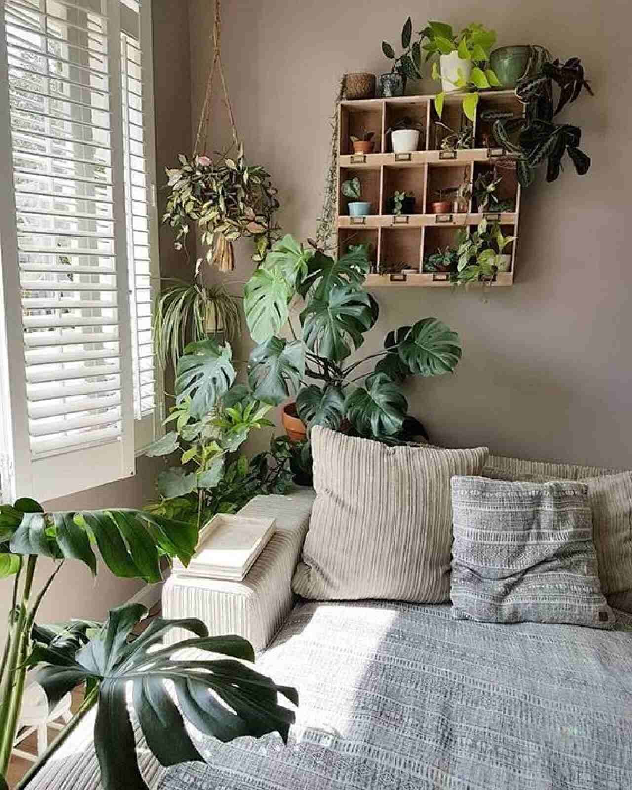 desain kamar tidur dengan tanaman monstera Di Dekat Jendela
