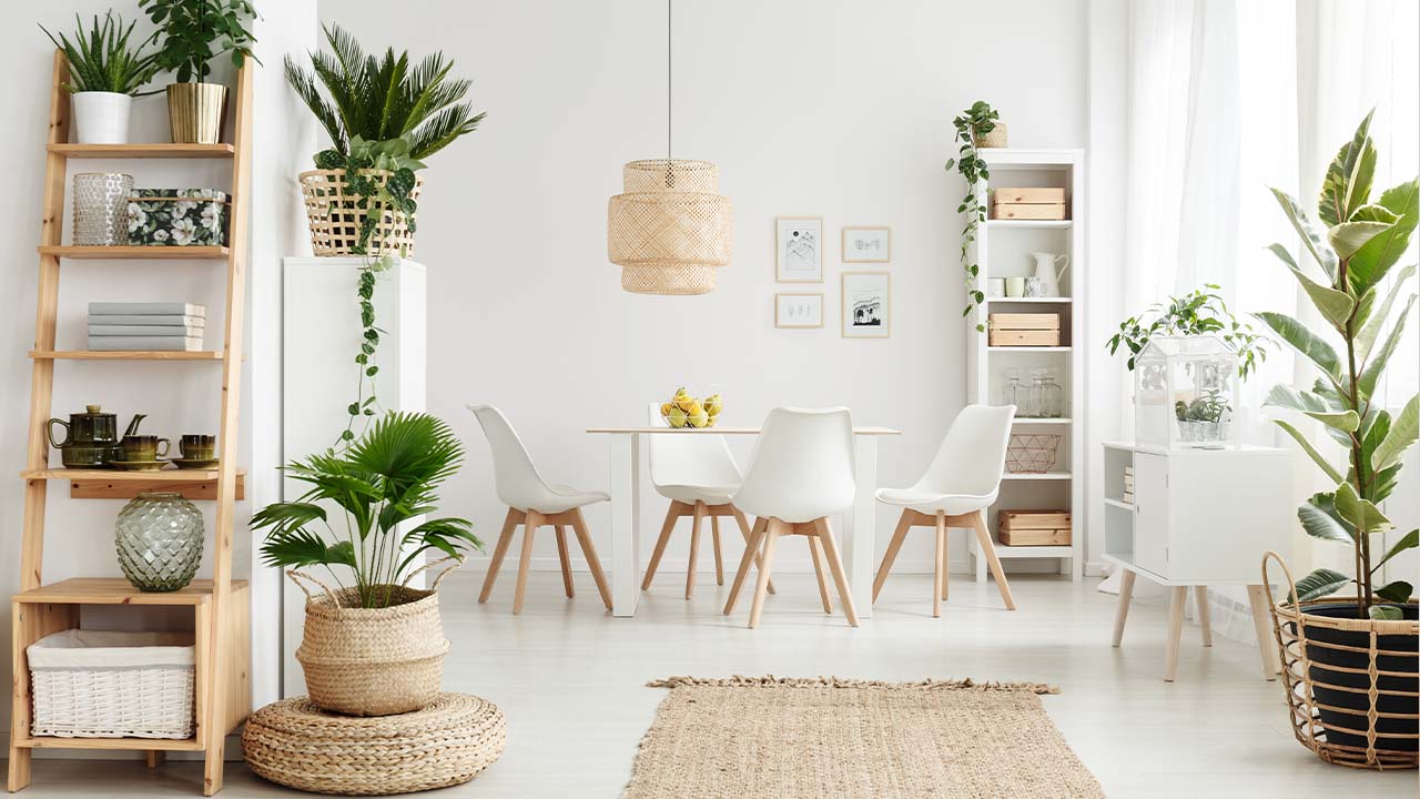 tanaman hias ala scandinavian interior