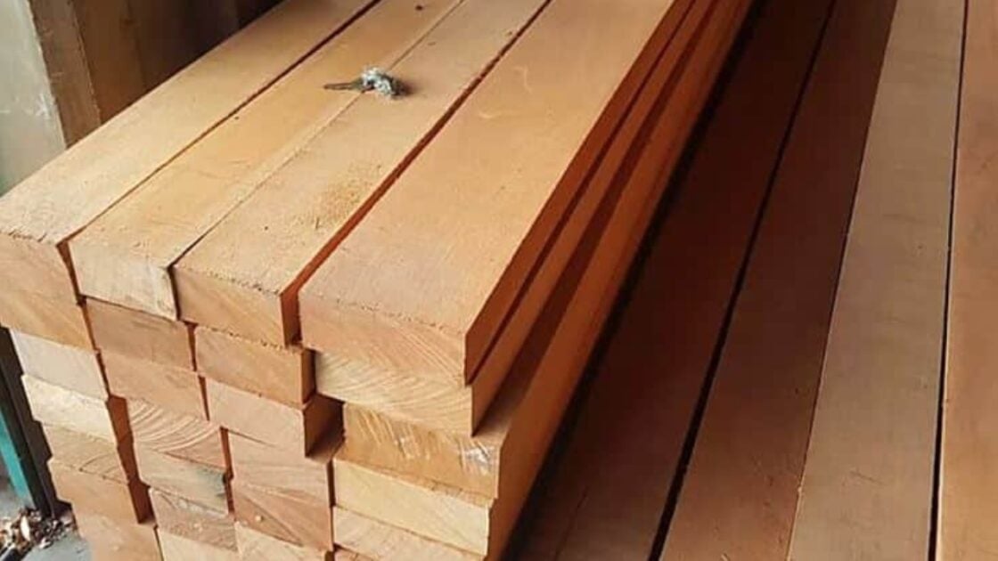 Mengenal Kayu Bengkirai, Kayu yang Tahan Rayap Mengenal Kayu Bengkirai, Kayu yang Tahan Rayap