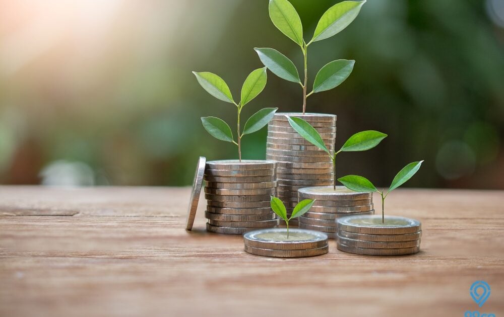5 Cara Investasi Reksadana yang Perlu Diketahui