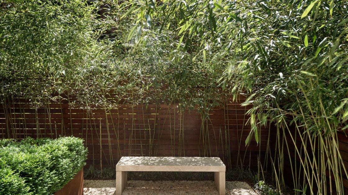 Tips dan Contoh Taman Minimalis yang Simpel tapi Cantik