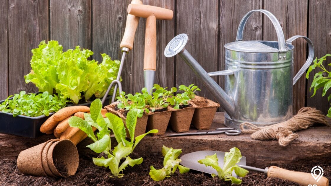 Manfaat Berkebun di Home Garden dan Inspirasi Tempat Bercocok Tanam di Rumah Manfaat Berkebun di Home Garden dan Inspirasi Tempat Bercocok Tanam di Rumah