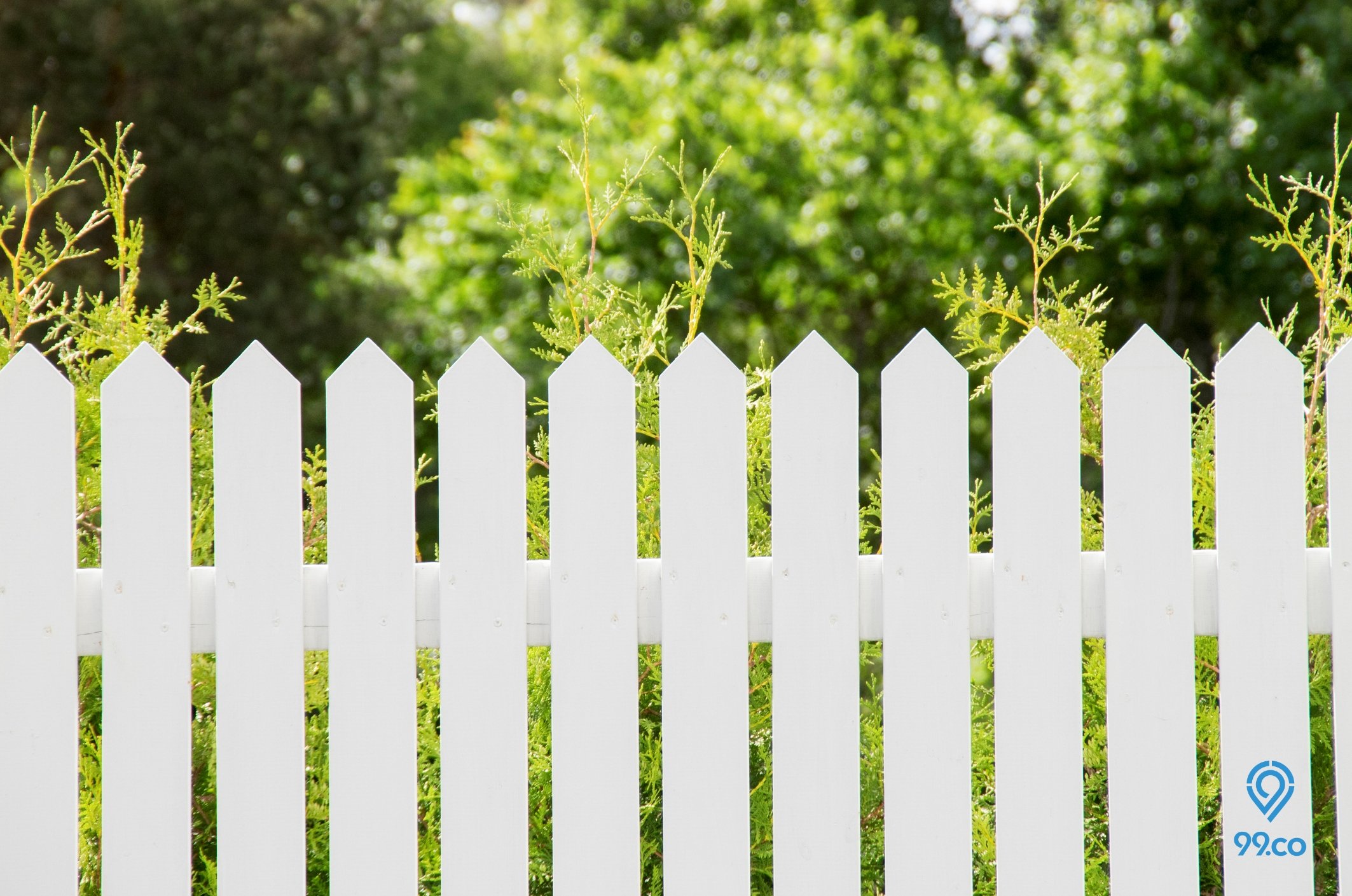 Ragam Model Pagar Kayu Minimalis dan Cara Membuatnya