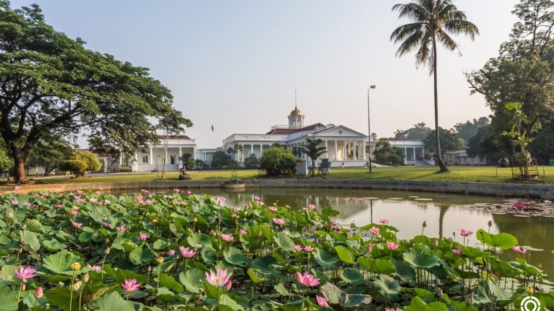 Prospek Beli Rumah di Bogor: Lokasi, Harga & Investasi
