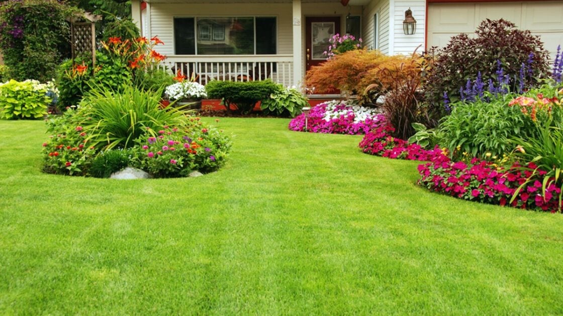 5 Tips Menciptakan Taman Modern yang Cantik di Rumah 5 Tips Menciptakan Taman Modern yang Cantik di Rumah