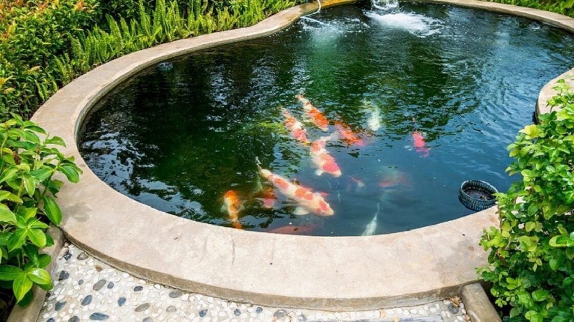 10 Inspirasi Model Kolam Ikan Minimalis di Lahan Sempit Terbaru