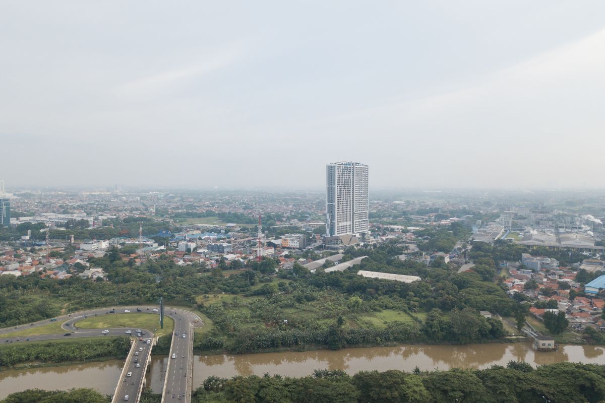 pemutihan pbb