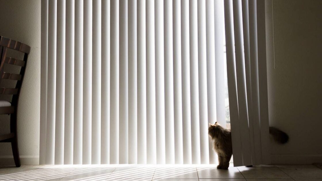 Vertical Blind adalah