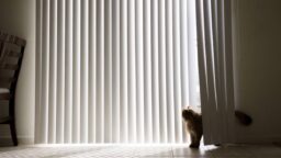 Vertical Blind adalah