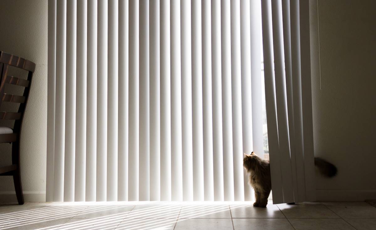 Vertical Blind adalah