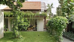 Model Rumah Asri dan Sejuk