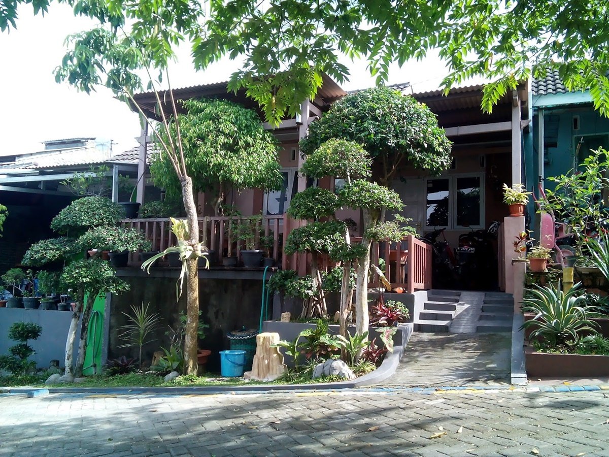 Model Rumah Asri di Desa