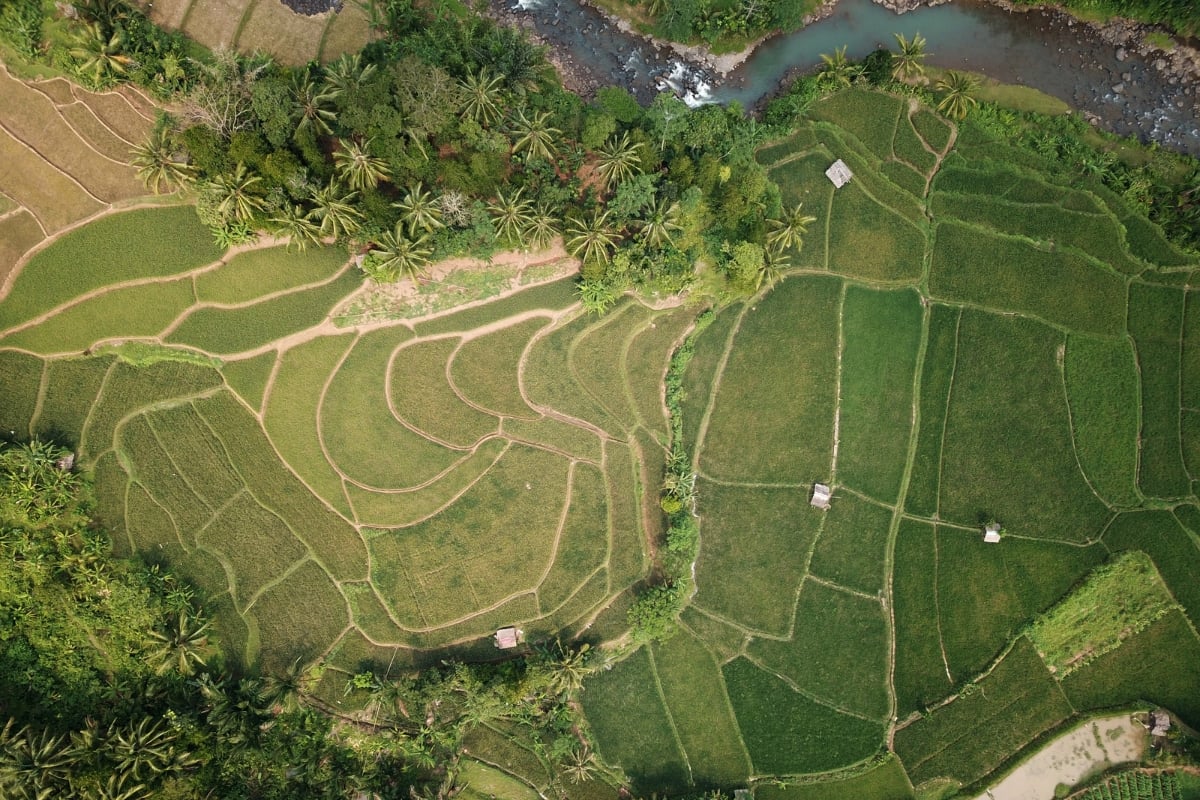 Kerugian atau Risiko Investasi Kavling Tanah
