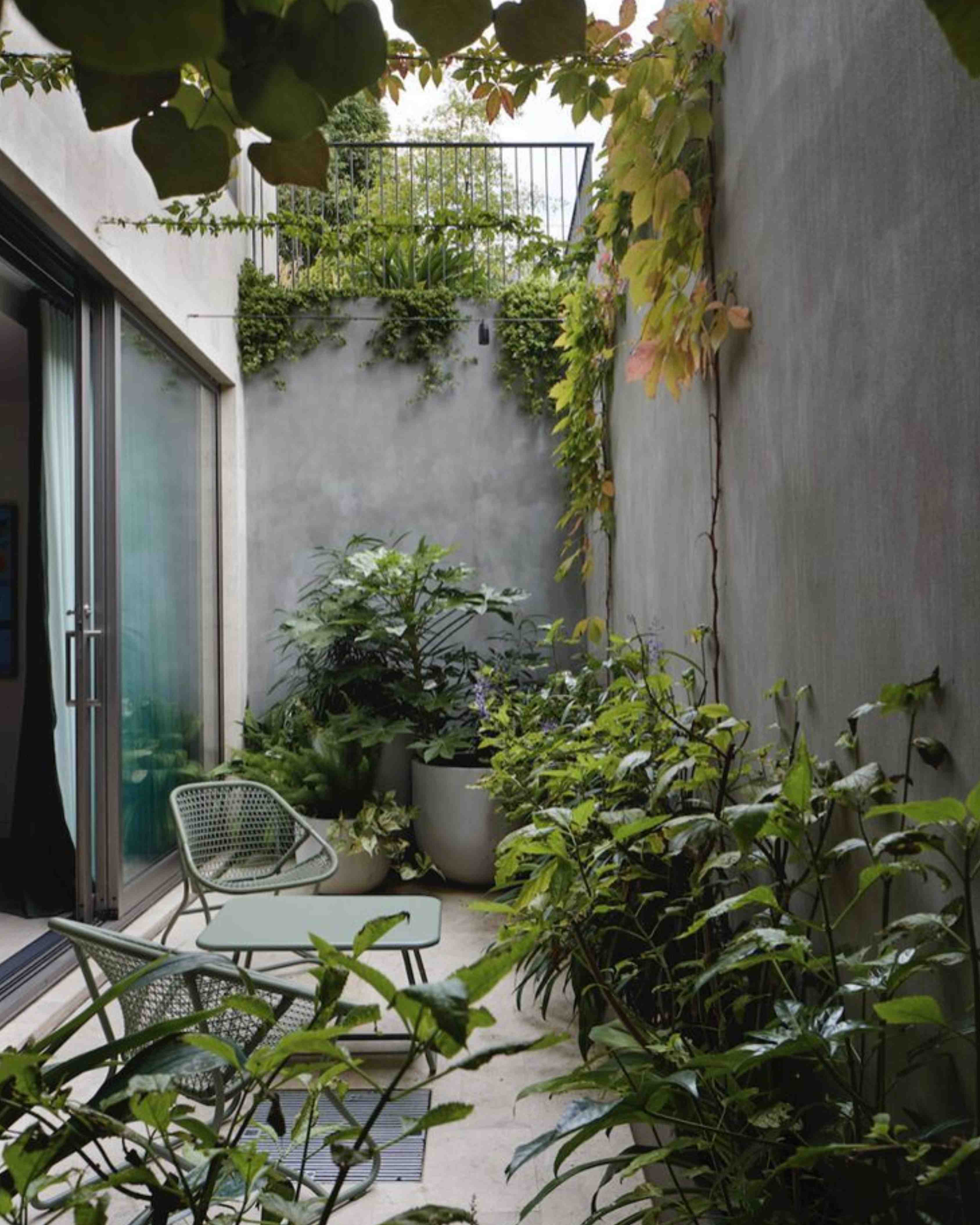taman belakang rumah sederhana