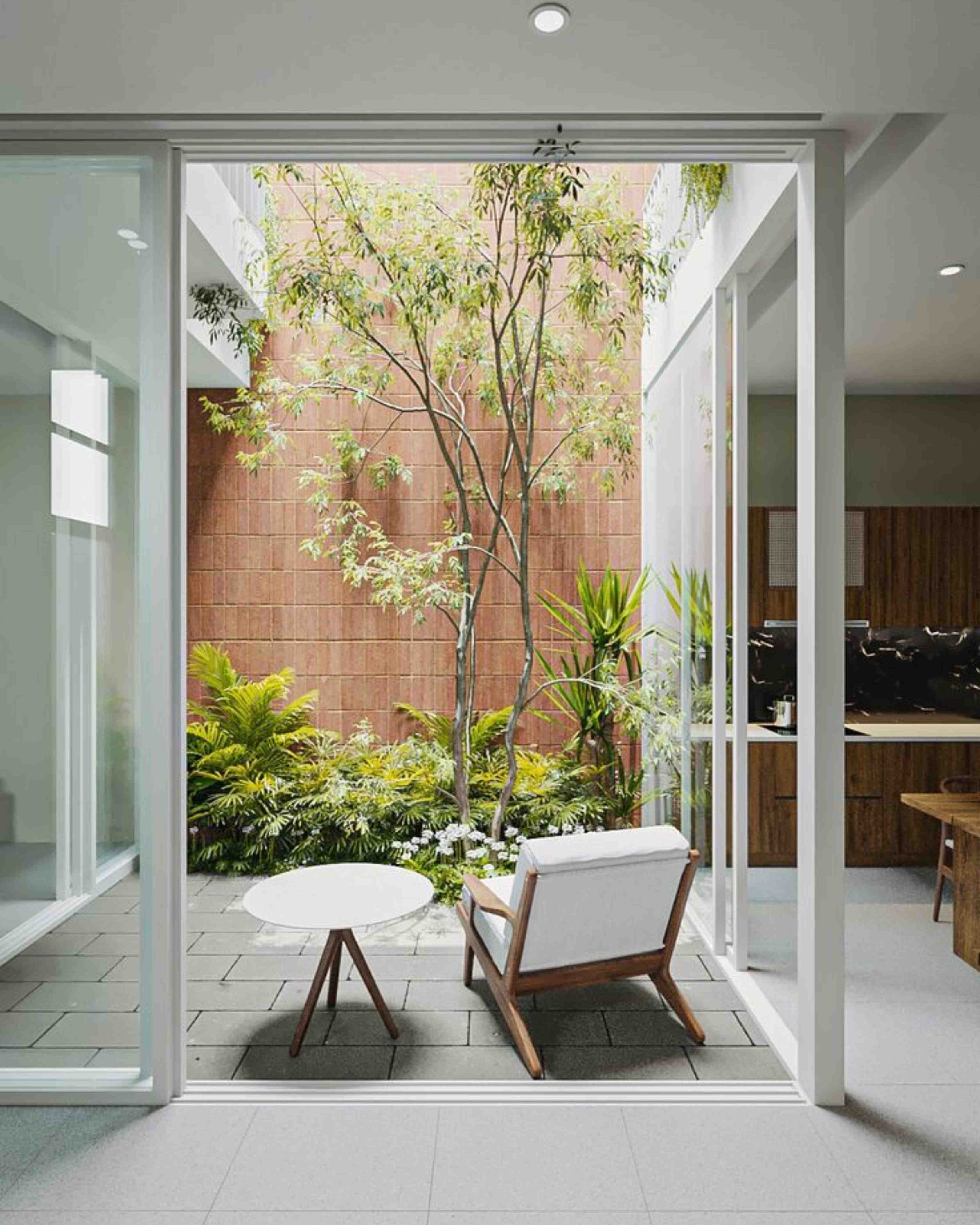 Dapur dan Taman Belakang Rumah Minimalis