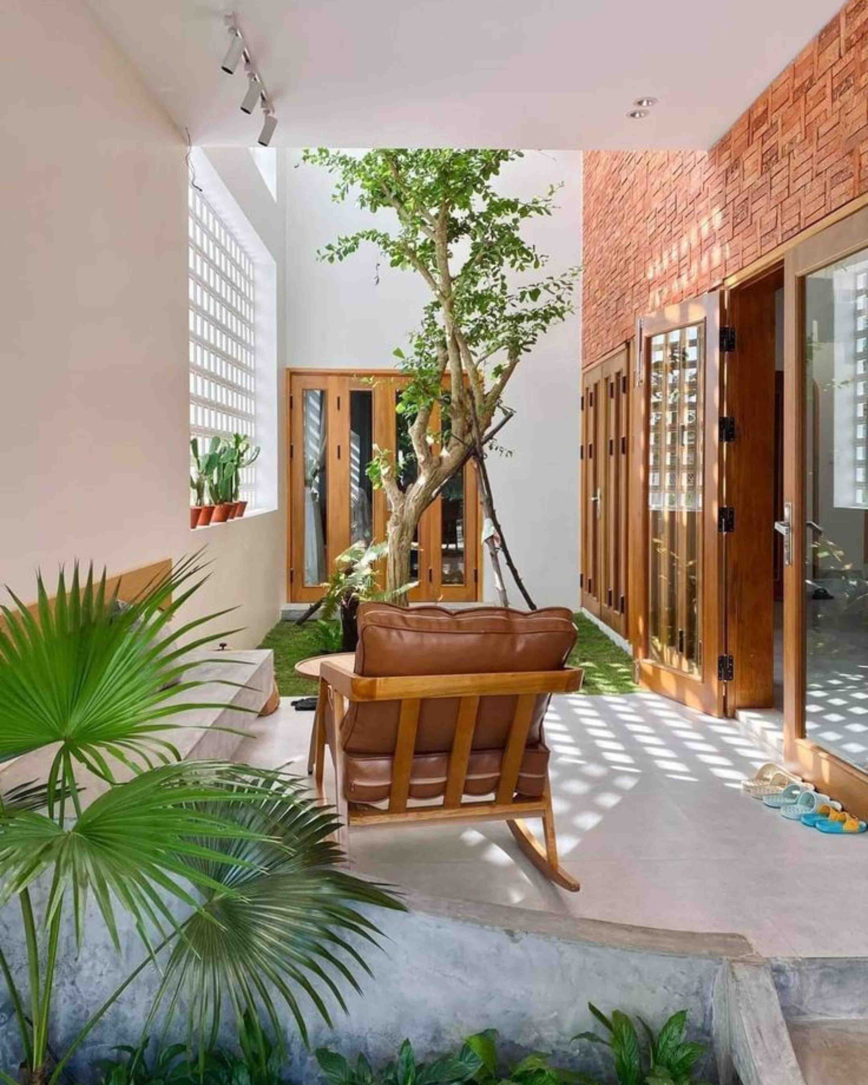 Taman Belakang Rumah 2 Meter