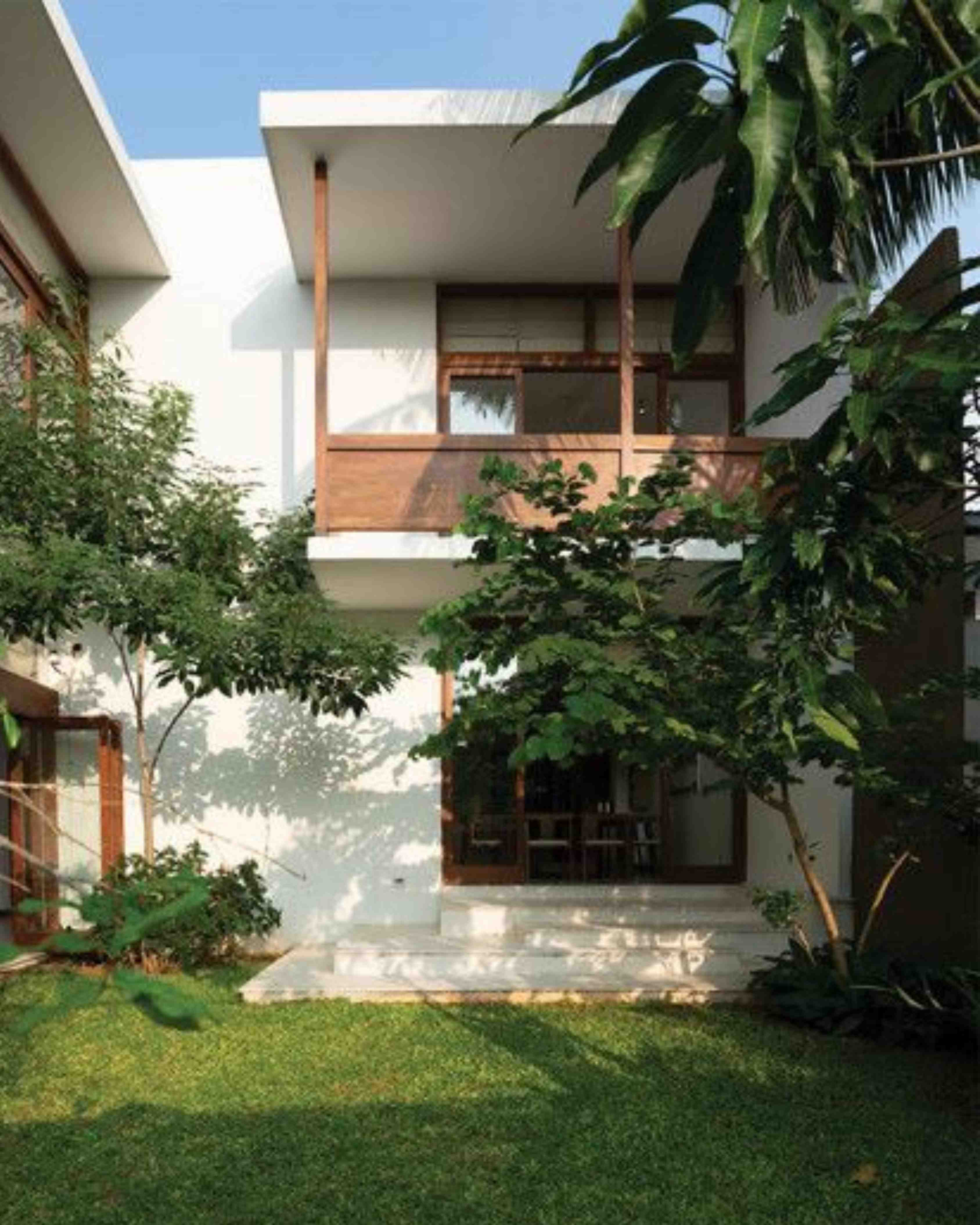 Tanaman Belakang Rumah Minimalis