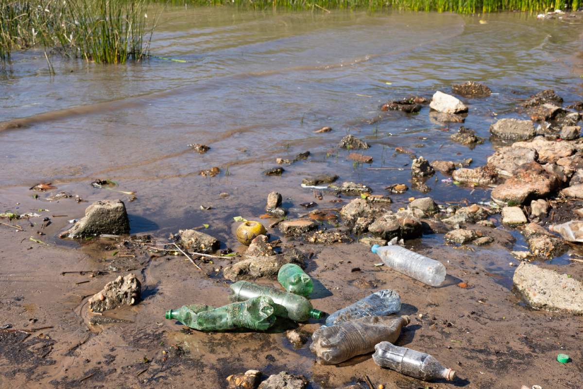 sungai tercemar sampah