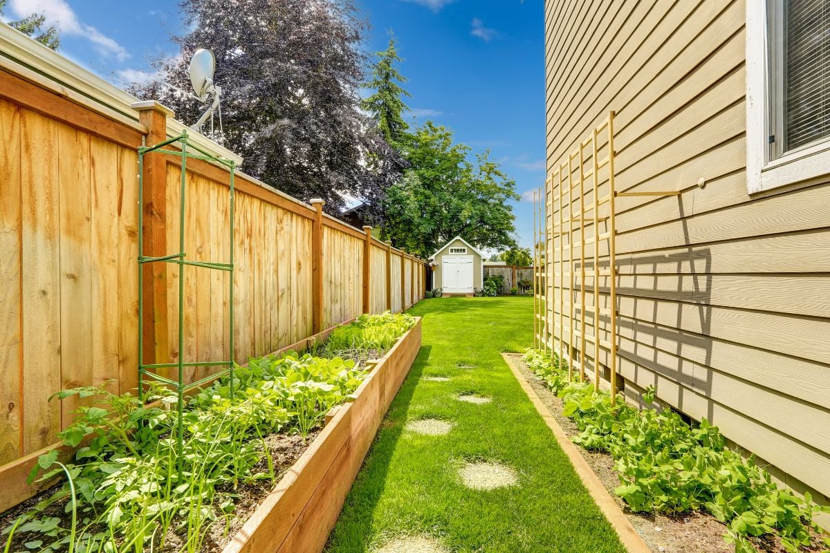 Inspirasi Taman Belakang Rumah dengan Pot Persegi Panjang