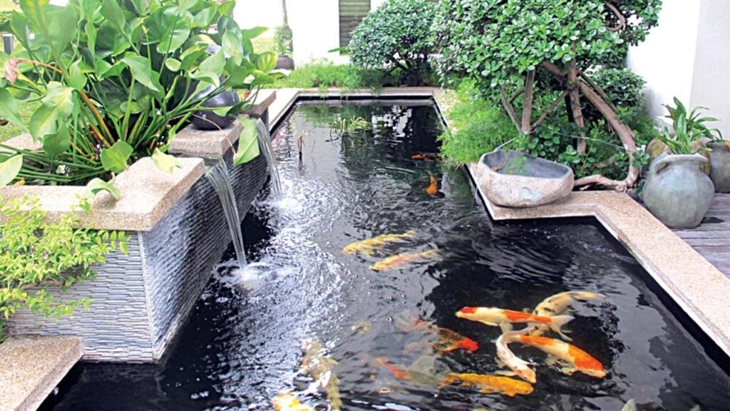 Renovasi Rumah Subsidi Tampak Depan dengan Kolam Ikan