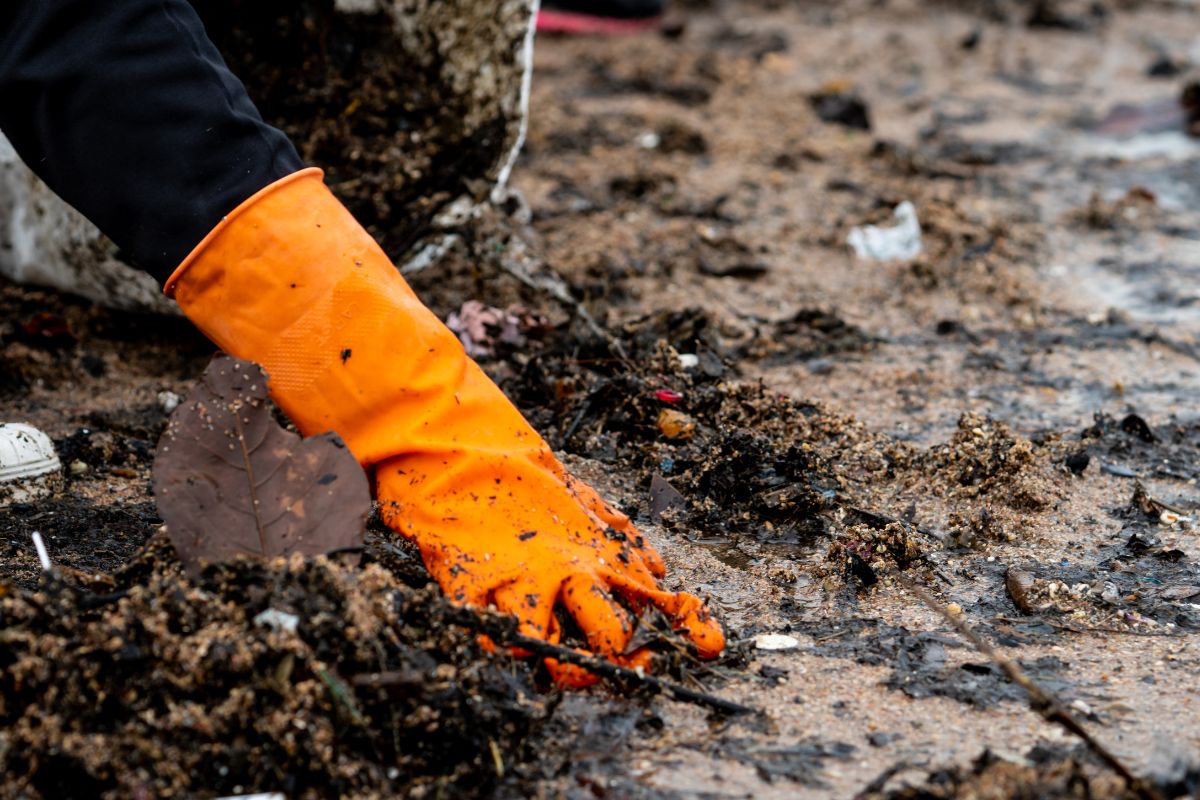 Pengertian dan Dampak Pencemaran Tanah