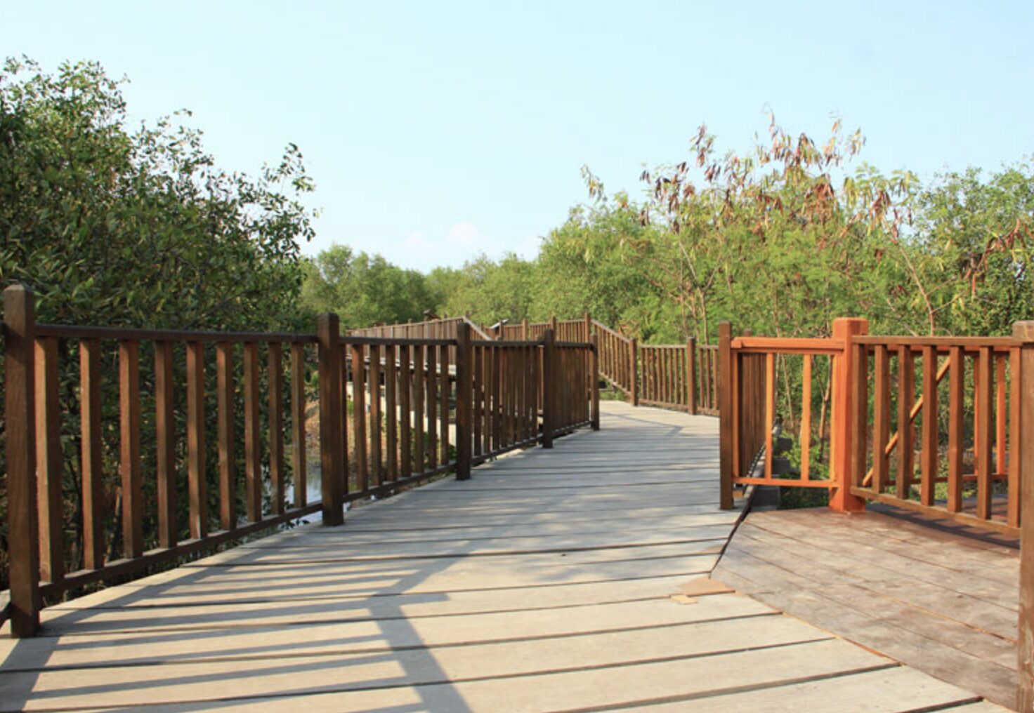 Ekowisata Mangrove Wonorejo