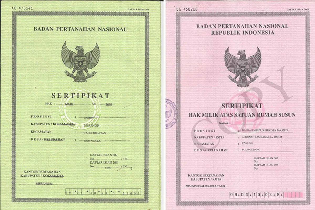status kepemilikan anami