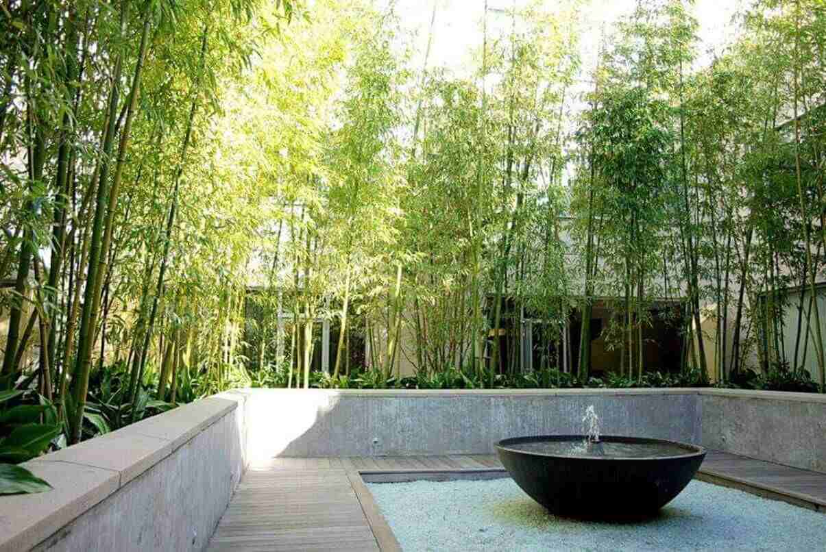 Pohon Bambu sebagai penangkal rumah tusuk sate